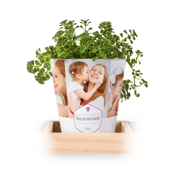 Bloempot (Set van 3)