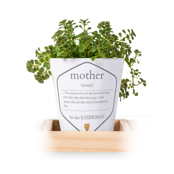 Flowerpot (Set of 3)