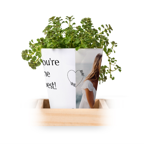 Flowerpot (Set of 3)