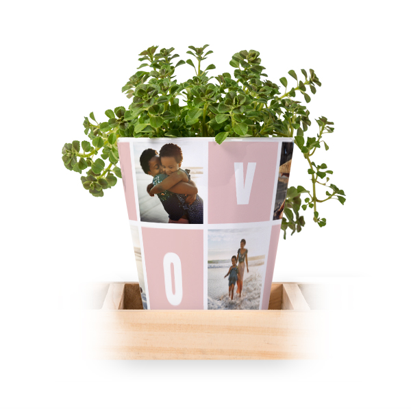 Blumentopf (3er Set)