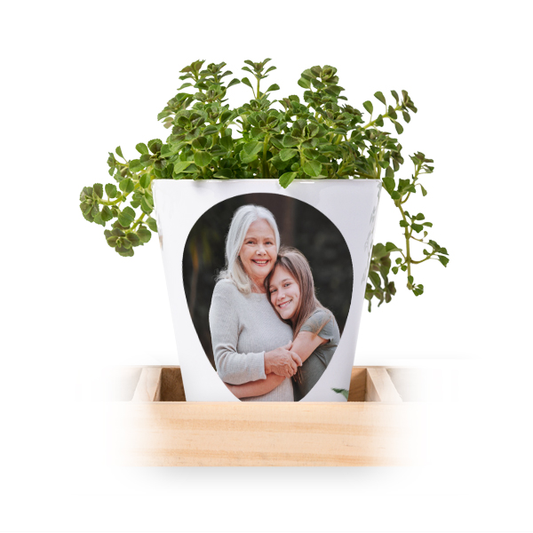 Flowerpot (Set of 3)