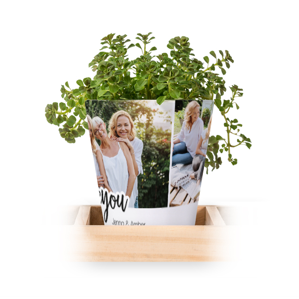 Lot de 3 pots avec plateau Lot de 3 pots avec plateau