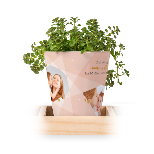Blomsterkrukke (Sett med 3)