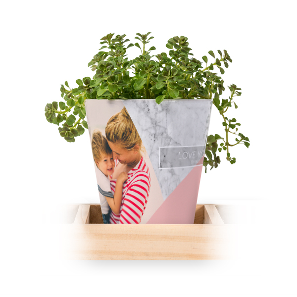 Flowerpot (Set of 3) Flowerpot (Set of 3)