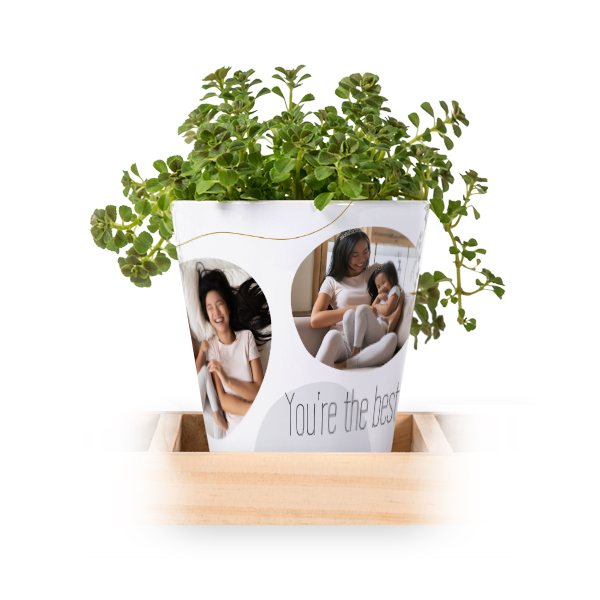 Bloempot (Set van 3)