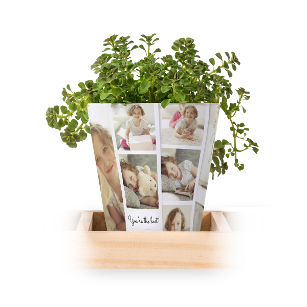 Lot de 3 pots avec plateau Lot de 3 pots avec plateau
