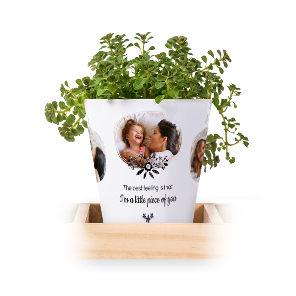 Blomsterkrukke (Sett med 3)