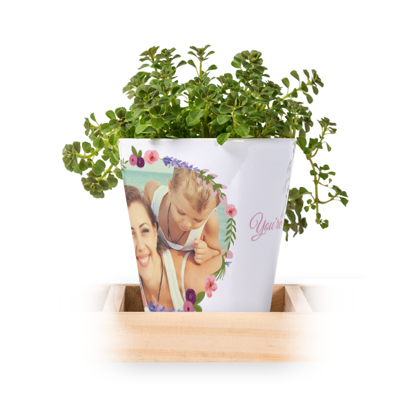 Bloempot (Set van 3)