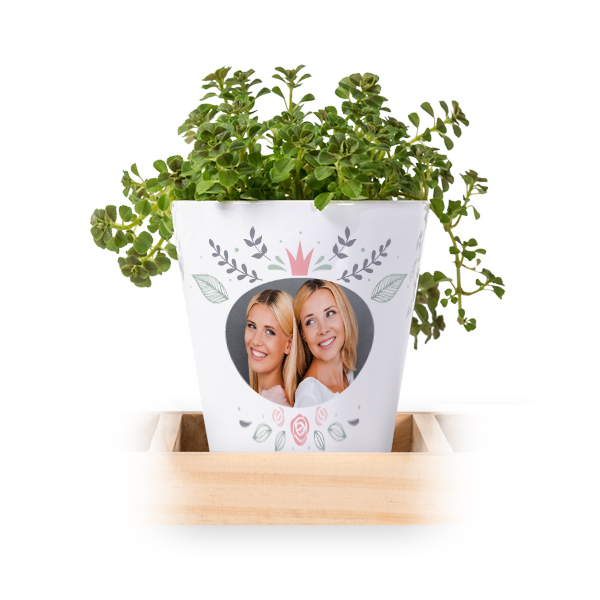 Bloempot (Set van 3)
