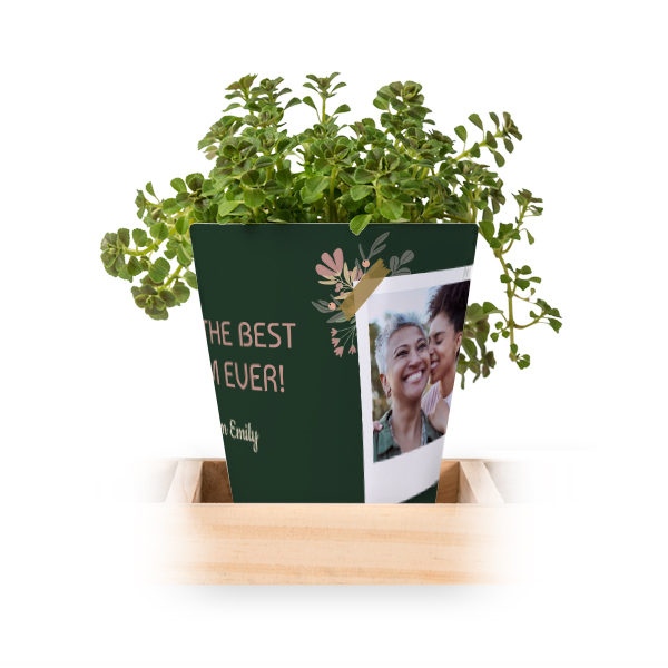 Blomsterkrukke (Sett med 3)