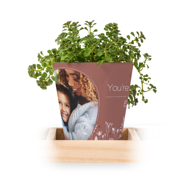 Lot de 3 pots avec plateau