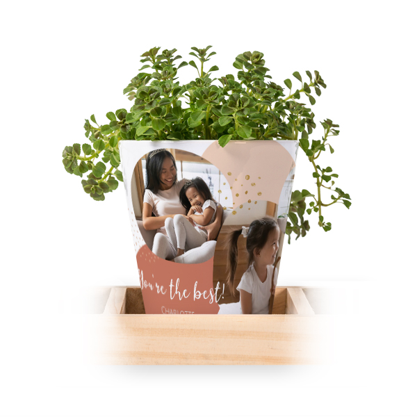 Flowerpot (Set of 3)