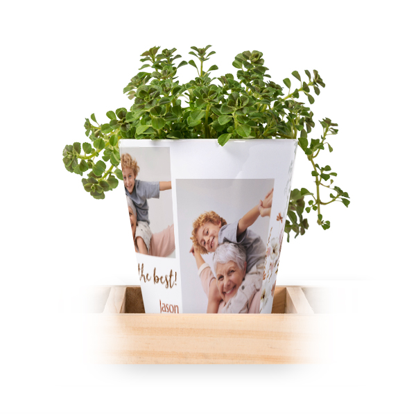 Lot de 3 pots avec plateau