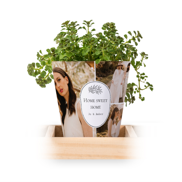 Flowerpot (Set of 3)