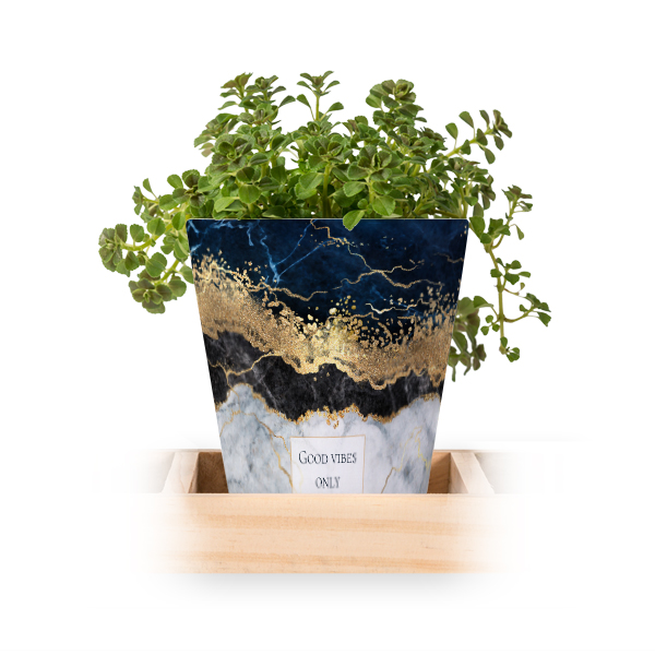 Lot de 3 pots avec plateau