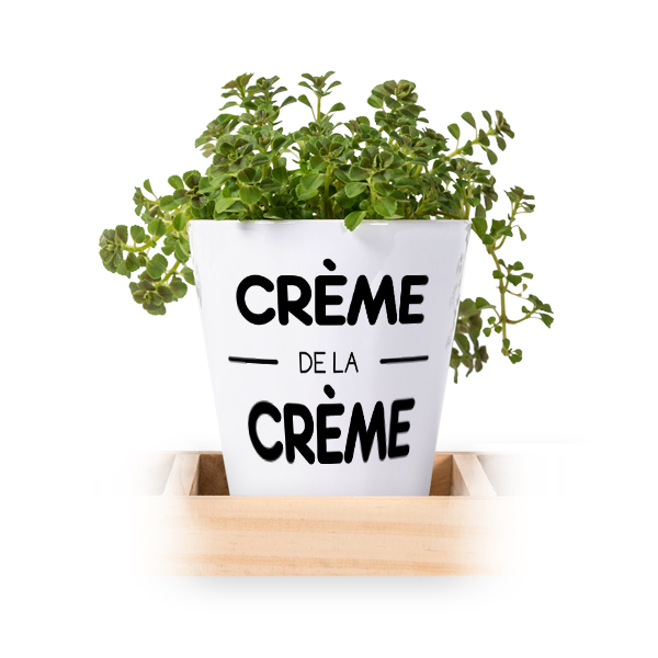 Flowerpot (Set of 3)