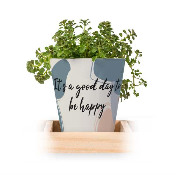 Flowerpot (Set of 3)