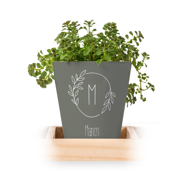 Flowerpot (Set of 3)