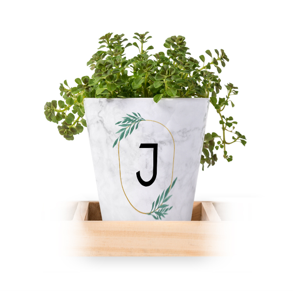 initials Tropical Marble initials Tropical Marble