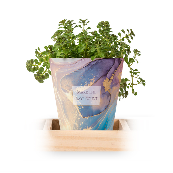 Flowerpot (Set of 3)