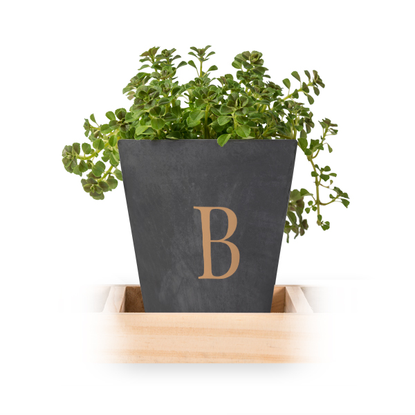 Lot de 3 pots avec plateau Lot de 3 pots avec plateau