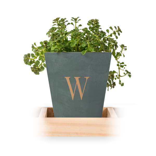 Bloempot (Set van 3)