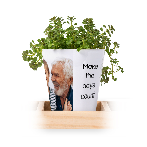 Flowerpot (Set of 3)