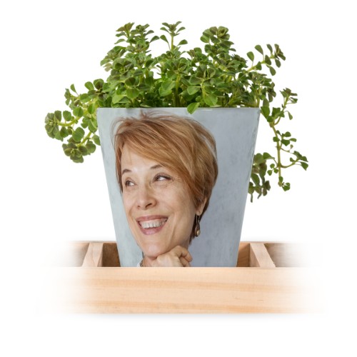 Classic Dry Flower Classic Dry Flower