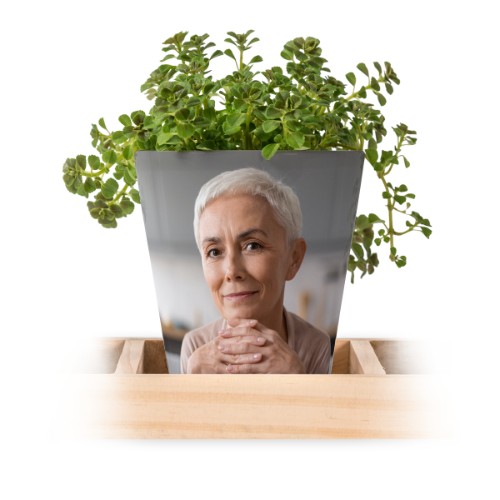 Flowerpot (Set of 3)