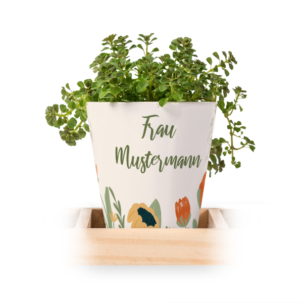 Blumentopf (3er Set)