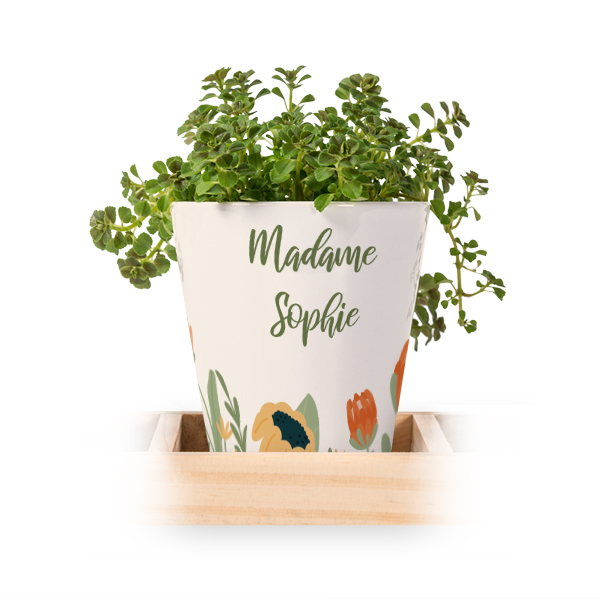 Lot de 3 pots avec plateau