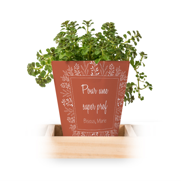 Lot de 3 pots avec plateau Lot de 3 pots avec plateau