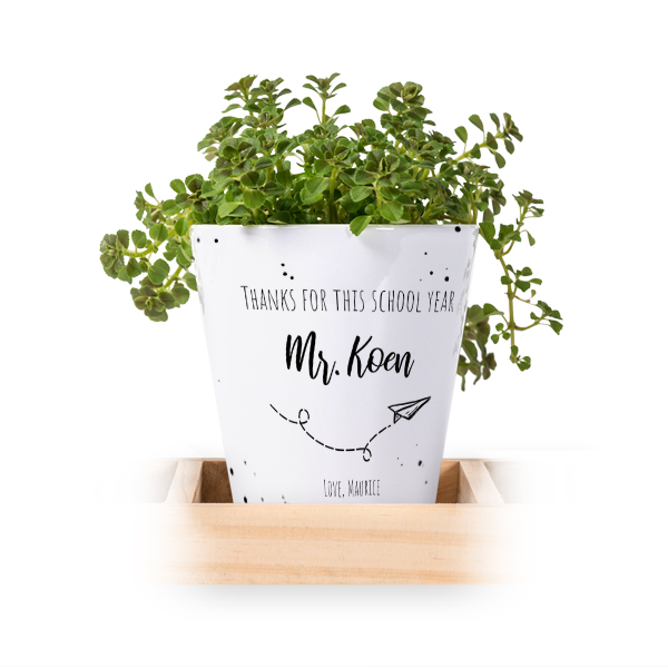 Flowerpot (Set of 3) Flowerpot (Set of 3)