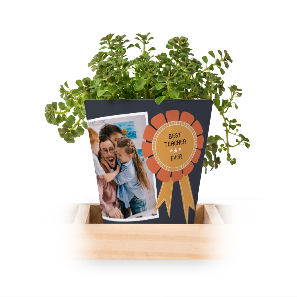 Flowerpot (Set of 3)