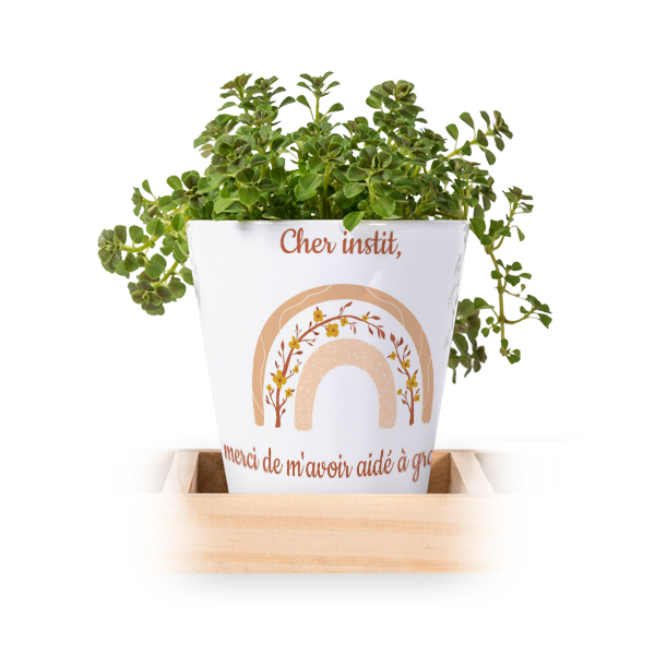 Lot de 3 pots avec plateau