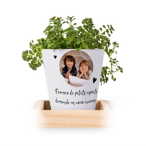 Lot de 3 pots avec plateau