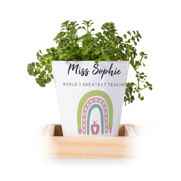 Flowerpot (Set of 3)
