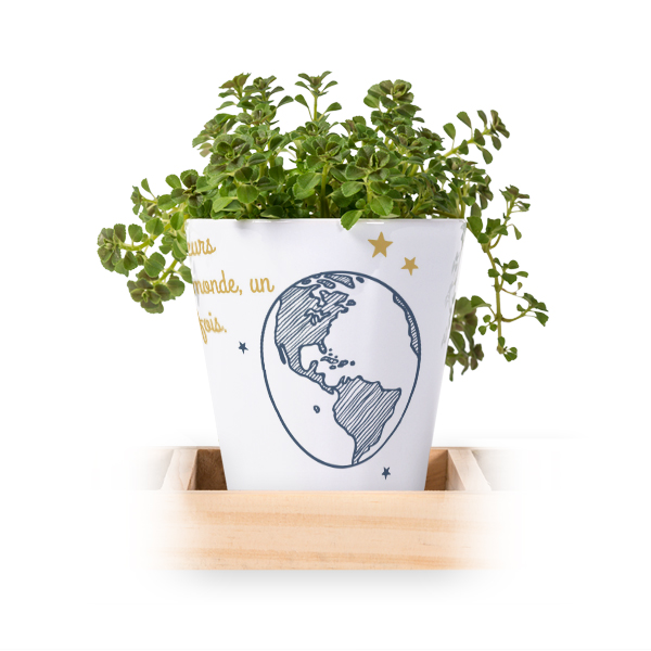 Lot de 3 pots avec plateau