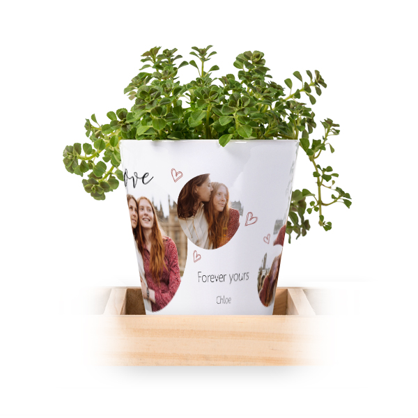 Flowerpot (Set of 3)
