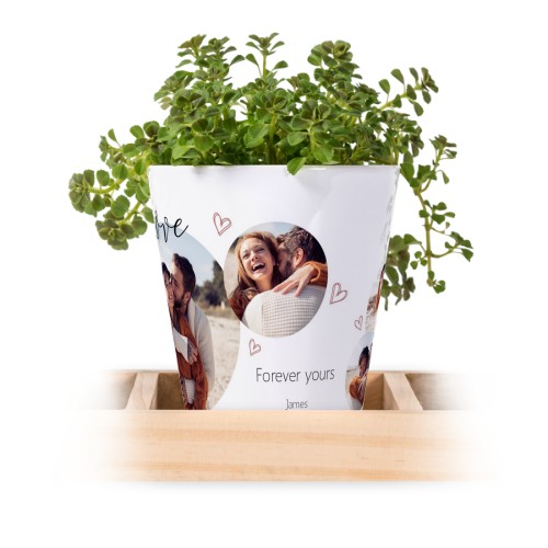 Blumentopf (3er Set)