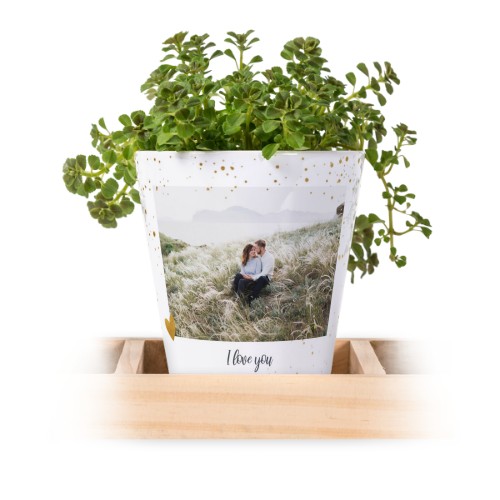 Lot de 3 pots avec plateau Lot de 3 pots avec plateau
