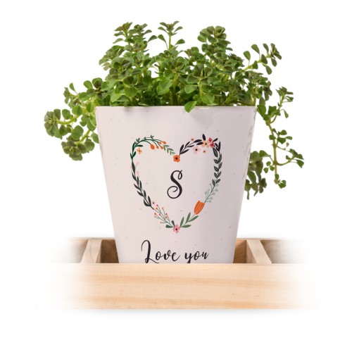 Lot de 3 pots avec plateau Lot de 3 pots avec plateau
