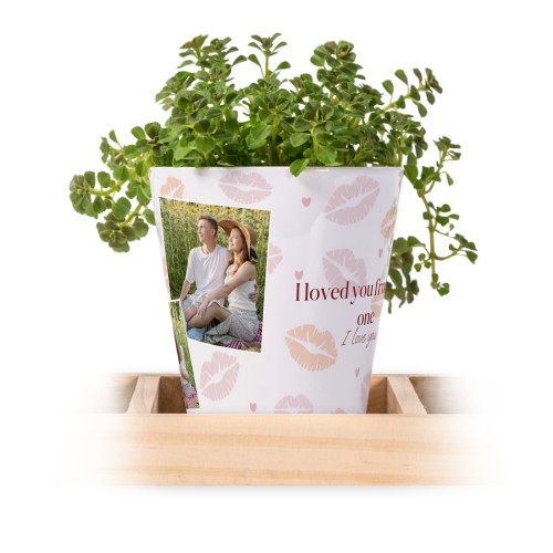 Lot de 3 pots avec plateau