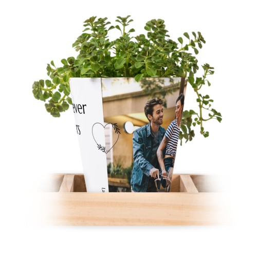Flowerpot (Set of 3)