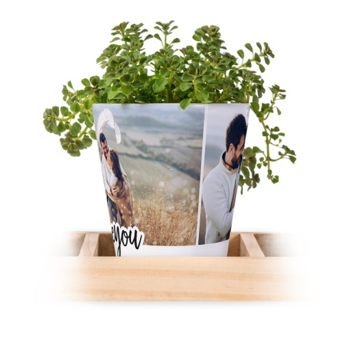 Blumentopf (3er Set) Blumentopf (3er Set)