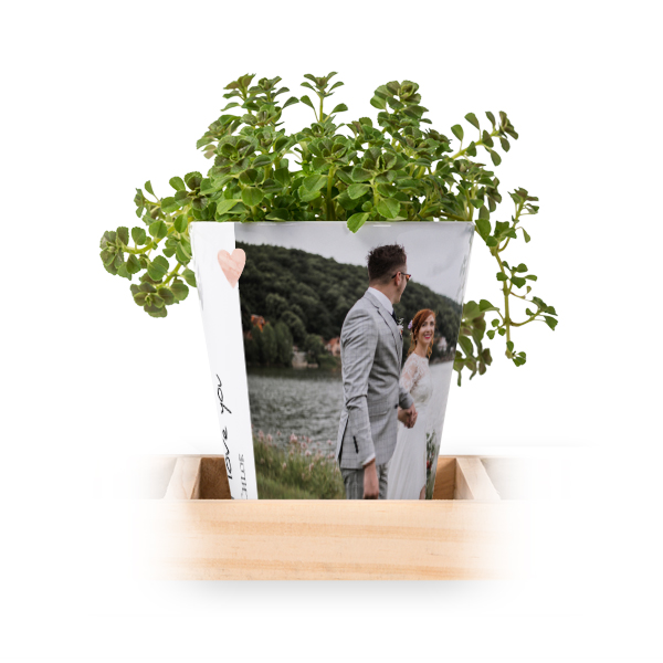 Flowerpot (Set of 3)