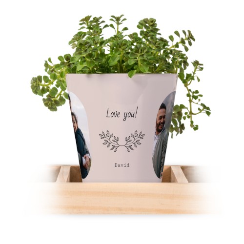 Lot de 3 pots avec plateau Lot de 3 pots avec plateau