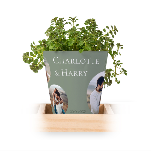 Lot de 3 pots avec plateau