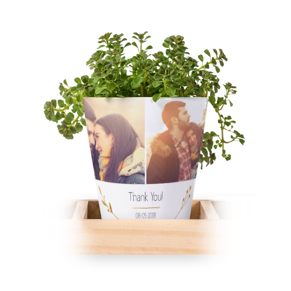 Lot de 3 pots avec plateau