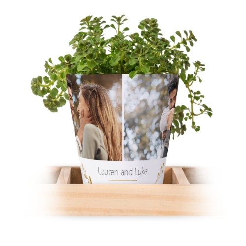 Lot de 3 pots avec plateau
